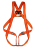 Ζώνες
